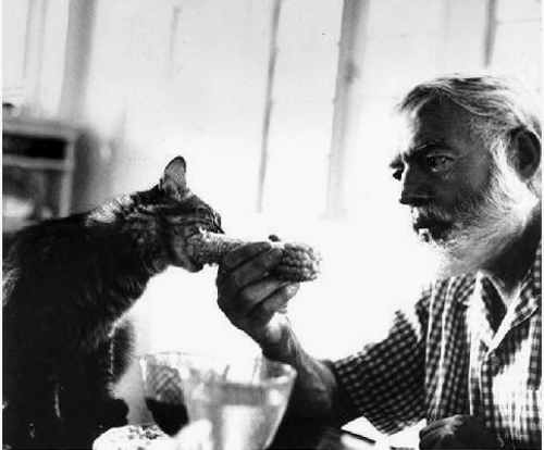 Ernest Hemingway et l'un de ses chats.