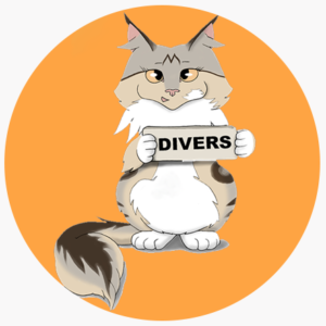 Divers Maine Coon